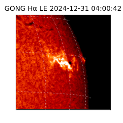 gong - 2024-12-31T04:00:42