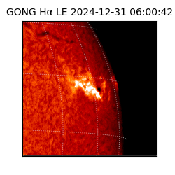 gong - 2024-12-31T06:00:42