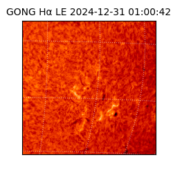 gong - 2024-12-31T01:00:42