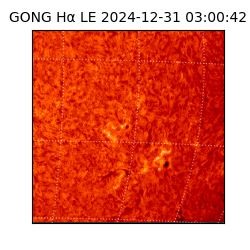 gong - 2024-12-31T03:00:42