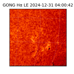 gong - 2024-12-31T04:00:42