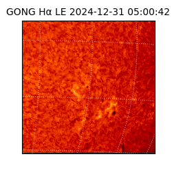 gong - 2024-12-31T05:00:42