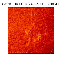 gong - 2024-12-31T06:00:42