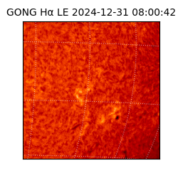 gong - 2024-12-31T08:00:42