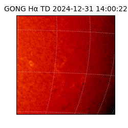 gong - 2024-12-31T14:00:22