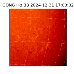 gong - 2024-12-31T17:03:02