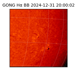 gong - 2024-12-31T20:00:02