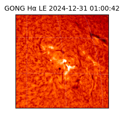 gong - 2024-12-31T01:00:42