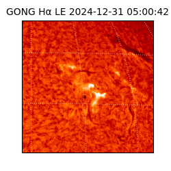 gong - 2024-12-31T05:00:42