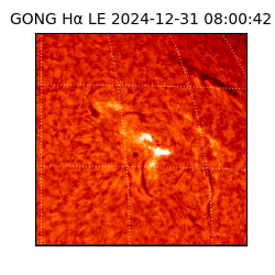 gong - 2024-12-31T08:00:42