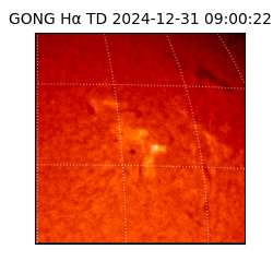 gong - 2024-12-31T09:00:22