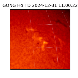 gong - 2024-12-31T11:00:22