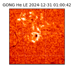 gong - 2024-12-31T01:00:42