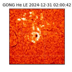 gong - 2024-12-31T02:00:42