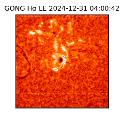 gong - 2024-12-31T04:00:42