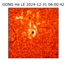 gong - 2024-12-31T06:00:42