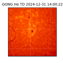 gong - 2024-12-31T14:00:22