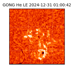 gong - 2024-12-31T01:00:42