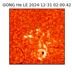 gong - 2024-12-31T02:00:42