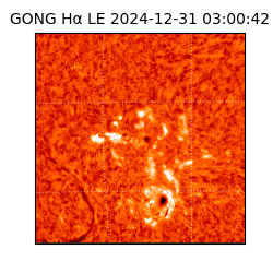 gong - 2024-12-31T03:00:42