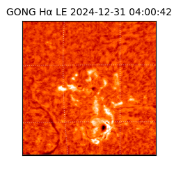 gong - 2024-12-31T04:00:42