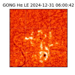 gong - 2024-12-31T06:00:42