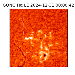 gong - 2024-12-31T08:00:42