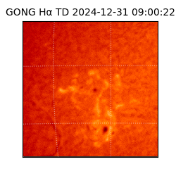 gong - 2024-12-31T09:00:22