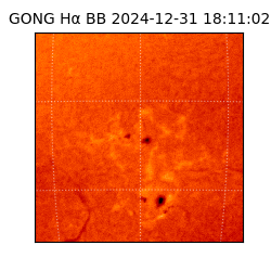 gong - 2024-12-31T18:11:02