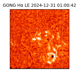 gong - 2024-12-31T01:00:42