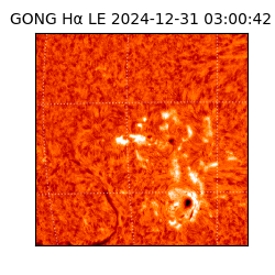 gong - 2024-12-31T03:00:42