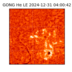 gong - 2024-12-31T04:00:42