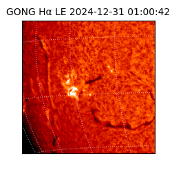 gong - 2024-12-31T01:00:42