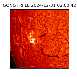 gong - 2024-12-31T02:00:42