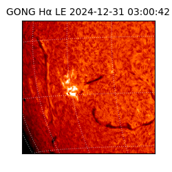 gong - 2024-12-31T03:00:42