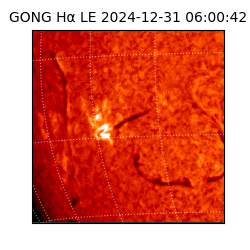 gong - 2024-12-31T06:00:42