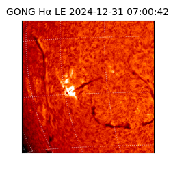 gong - 2024-12-31T07:00:42
