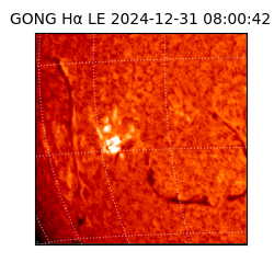 gong - 2024-12-31T08:00:42