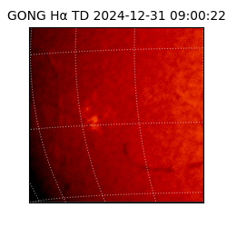gong - 2024-12-31T09:00:22