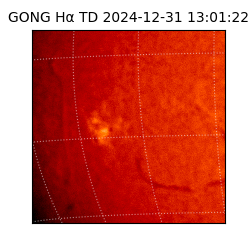 gong - 2024-12-31T13:01:22