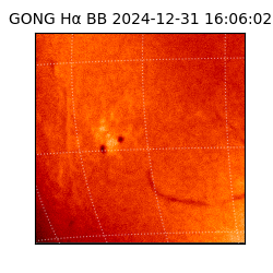 gong - 2024-12-31T16:06:02