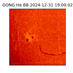 gong - 2024-12-31T19:00:02