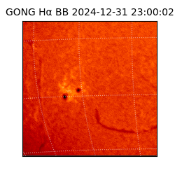 gong - 2024-12-31T23:00:02