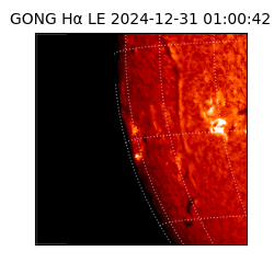 gong - 2024-12-31T01:00:42