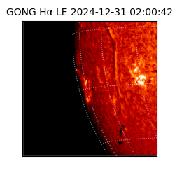 gong - 2024-12-31T02:00:42