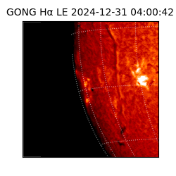 gong - 2024-12-31T04:00:42