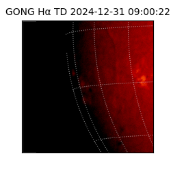 gong - 2024-12-31T09:00:22