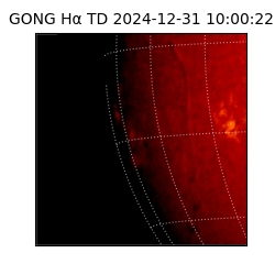 gong - 2024-12-31T10:00:22