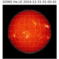 gong - 2024-12-31T01:00:42