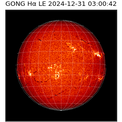 gong - 2024-12-31T03:00:42